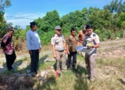 Penelitian Lapang Tim Gugus Tugas Reforma Agraria (GTRA) Kegiatan Redistribusi Tanah di Kecamatan Malangke