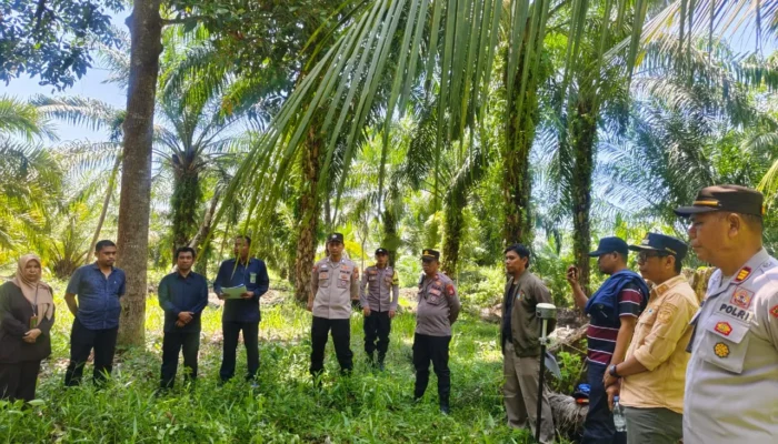 Kantor Pertanahan Luwu Utara Dukung Pelaksanaan Eksekusi Lahan di Desa Munte : Pengukuran Lahan Objek Sengketa dalam Rangka Pembagian Tanah Warisan