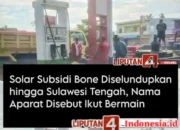 Indikasi terbaru menunjukkan Adanya Terduga keterlibatan Oknum aparat penegak Hukum, berinisial FZ oknum Anggota TNI, yang Disebut-sebut ikut bermain Dalam rantai distribusi ilegal