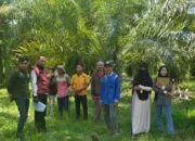 Kantor Pertanahan Luwu Utara Lakukan Peninjauan dan Pengambilan Koordinat Bidang Tanah di Desa Muktitama untuk Klarifikasi Batas Kepemilikan