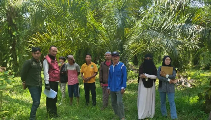Kantor Pertanahan Luwu Utara Lakukan Peninjauan dan Pengambilan Koordinat Bidang Tanah di Desa Muktitama untuk Klarifikasi Batas Kepemilikan