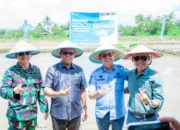 Dari Lahan Kolaka untuk Ketahanan Pangan Indonesia: PT Vale Kolaborasi Padi Berkelanjutan untuk Hadirkan Transformasi Pertanian Berbasis Inovasi
