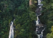 Ancaman Deforestasi Food Estate Merauke dan Kerusakan Kawasan Sakral Gunung Cycloop Papua