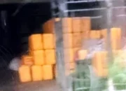 Diduga Penimbunan Avtur dan Solar Kerap Dikawatirkan Merugikan Masyarakat banyak Yang Menikmati Hasil Bersubsidi Tersebut Terjadi di Dusun Bonto Ulu, Maros