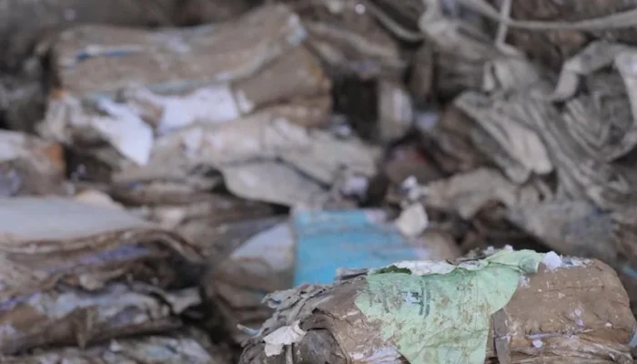 Perjuangan Kantah Kabupaten Aceh Tamiang Selamatkan 75 Ribu Arsip Pertanahan Pascabencana