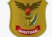 LEMBAGA INVESTIGASI NEGARA (LIN) RI PROVINSI PAPUA BARAT DAYA BUKAN LEMBAGA AUDIT ATAU PEMERIKSA