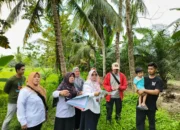 Percepatan Penyelesaian Backlog PTSL, Kantor Pertanahan Luwu Utara Lakukan Peninjauan Lapangan Klaster K3.3 di Desa Polejiwa