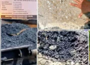 Pekerjaan Proyek Ruas Jalan Aspal Dijeneponto Diduga Kualitas Material Tidak Memenuhi Standar Penggunaan Aspal Agregat Batu Pasir Campuran Yang Tidak Tepat Membuat Ambles Mudah Terkelupas.