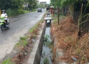 Papua di Persimpangan Tantangan dan Harapan Menuju Pembangunan Berkelanjutan