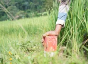 Mudik ke Kampung Halaman? Jaga Batas Tanah sebagai Langkah Awal Cegah Konflik Antartetangga