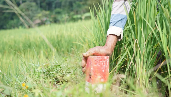 Mudik ke Kampung Halaman? Jaga Batas Tanah sebagai Langkah Awal Cegah Konflik Antartetangga