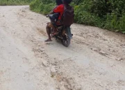 Jalan Menuju Kampung Bariat–Manelek Rusak, Warga Distrik Konda Harap Perhatian Pemerintah Sorong Selatan