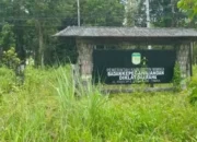 LIN Mimika Optimis dan Dorong Penataan Kantor BKPSDM demi Wibawa Pelayanan Publik