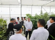 Wamen Ossy Dukung Pengembangan Kawasan TSTH2, Tekankan Pentingnya Kepastian Tanah dan Tata Ruang