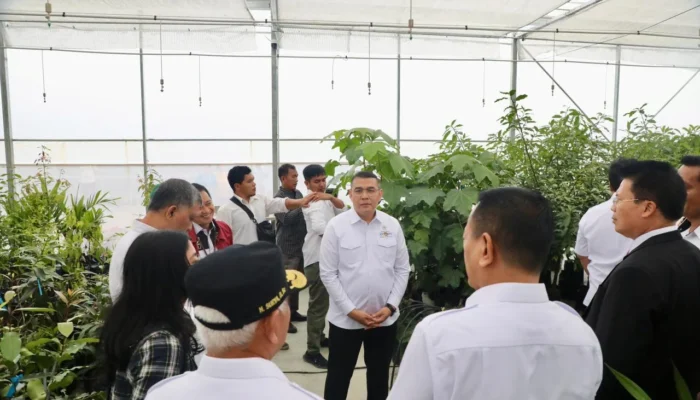 Wamen Ossy Dukung Pengembangan Kawasan TSTH2, Tekankan Pentingnya Kepastian Tanah dan Tata Ruang