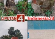 Dugaan Korupsi Proyek Pembangunan Sumur Bor Terbengkalai Tidak Berfungsi Hanya Buang-buang Anggaran Pekerjaan THN 2021 Menjadi Sorotan Public di Jeneponto Desa Kareloe