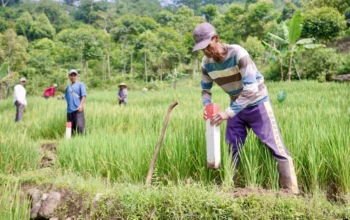 Mau Ikut PTSL? Ketahui Biaya Persiapannya yang Berlaku di Masing-Masing Wilayah