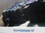 Diminta Tim Mabes Polri Memberantas Pratik Penyeludupan BBM Subsidi Praktik Penimbunan Solar Ilegal di Wajo, Diduga Gunakan Jalur Sungai Balete untuk Distribusi Gelap Menindaklanjuti Oknum Mafia Solar Bersubsidi