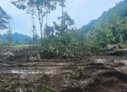 Proyek Percetakan Sawah di Desa Ledu-Ledu Jadi Sorotan warga