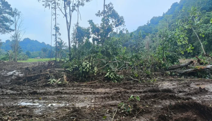 Proyek Percetakan Sawah di Desa Ledu-Ledu Jadi Sorotan warga