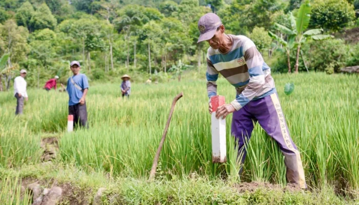 Pasang Patok, Cara Sederhana Cegah Sengketa Tanah dengan Tetangga