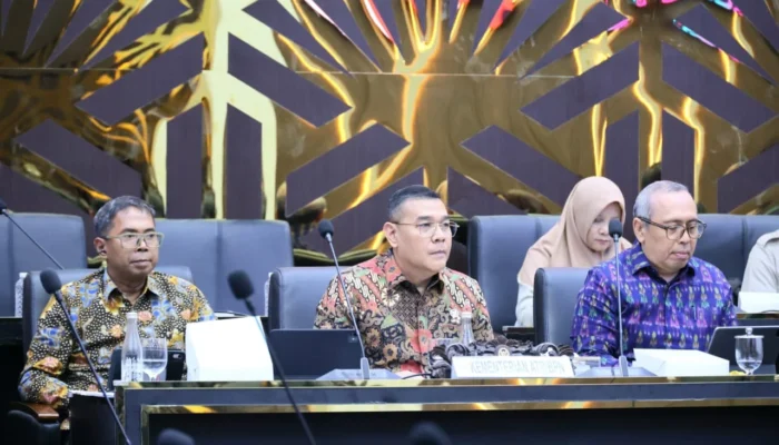 Wamen ATR/Waka BPN dalam Raker Bersama DPR RI: Kawasan Hutan Harus Terintegrasi dengan Tata Ruang