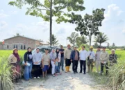 Kegiatan Pengukuran dan Pemetaan Kadastral di Desa Marannu