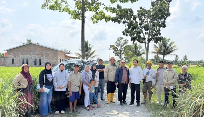 Kegiatan Pengukuran dan Pemetaan Kadastral di Desa Marannu