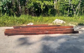 Diduga Ada Aktivitas TPK di Haymaran Sorong Selatan, Pemuatan Kayu 2-3 Kali Seminggu ke Mariat Pantai