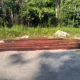 Diduga Ada Aktivitas TPK di Haymaran Sorong Selatan, Pemuatan Kayu 2-3 Kali Seminggu ke Mariat Pantai